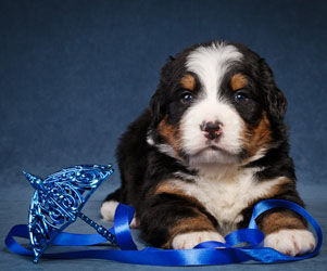 Henry 23 Days Old
